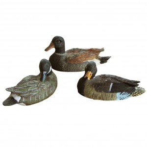 Trio de canards flottants