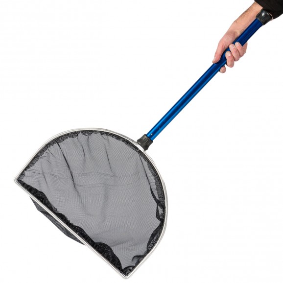 Epuisette d'examen pour poissons