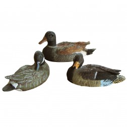 Trio de canards flottants