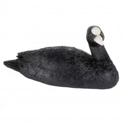 Décor flottant poule d'eau