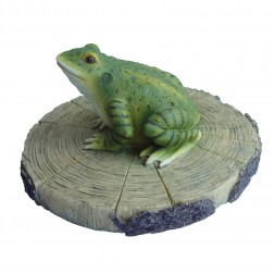Grenouille sur souche